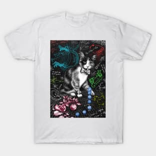 Cat Studying Gravity B T-Shirt